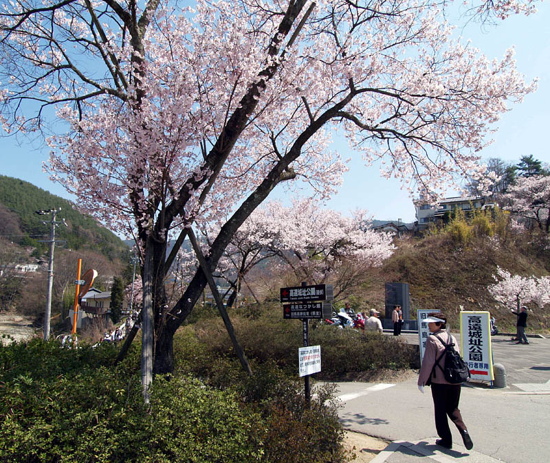 バス停から歩いて高遠城址公園に向かう
